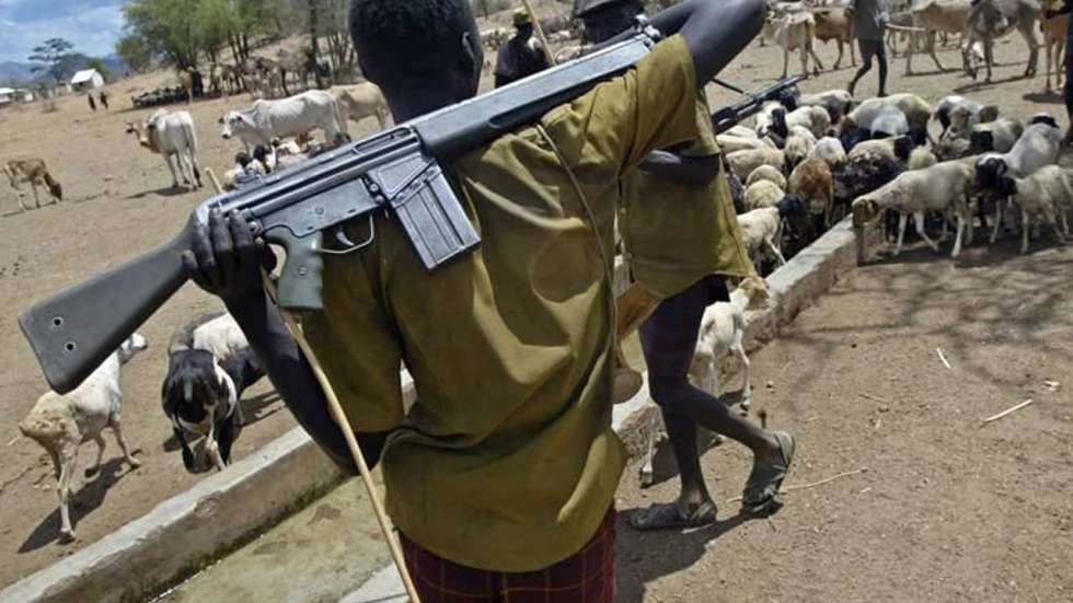 Community Cry Out Over Destruction Of Farmlands, Food Crops By Herdsmen