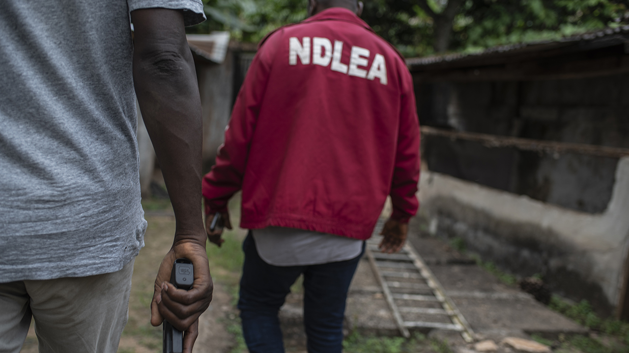 NDLEA Arrests 20 Suspected Drug Peddlers In Edo