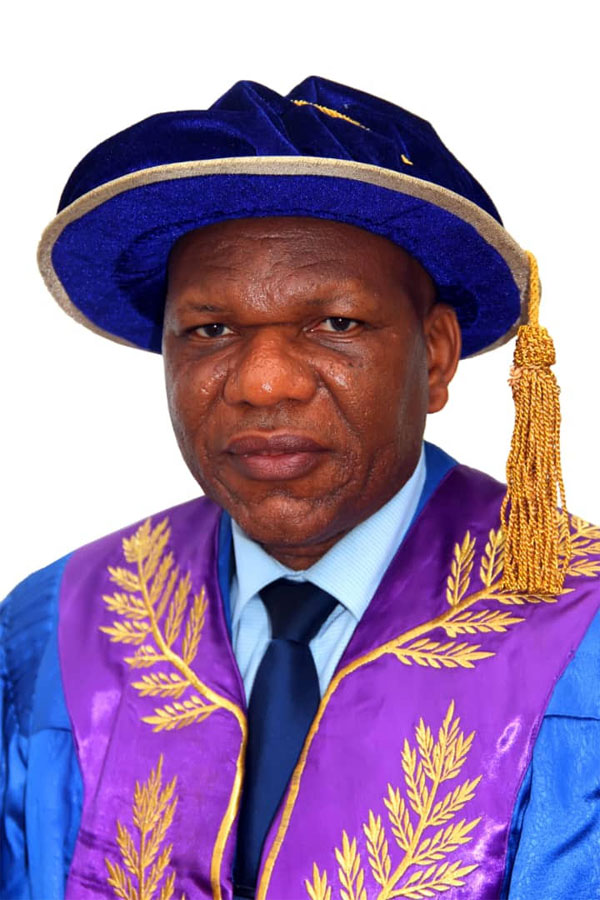 OAU to build own airport soon, says VC
