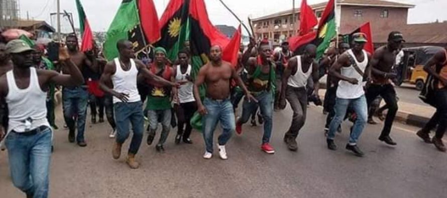 IPOB tackles Miyetti Allah over refusal to obey ban on cattle movement in S/East