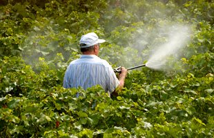BEWARE: Pesticides causes low sperm count in male – Don warns