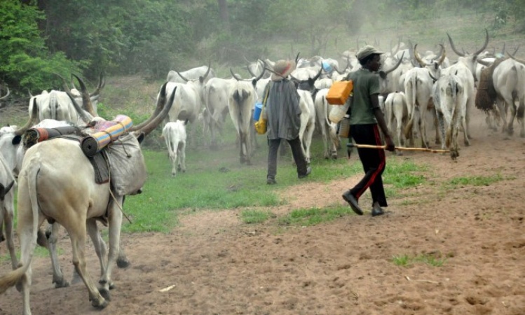 Fulani herdsmen killed 2,539 Nigerians in 654 attacks — Report
