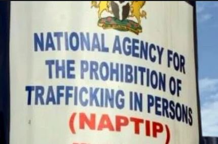 NAPTIP Rescues 2,884 Lagos Indigenes From Traffickers In 16 years