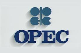 OPEC Meeting To Set February Production Levels