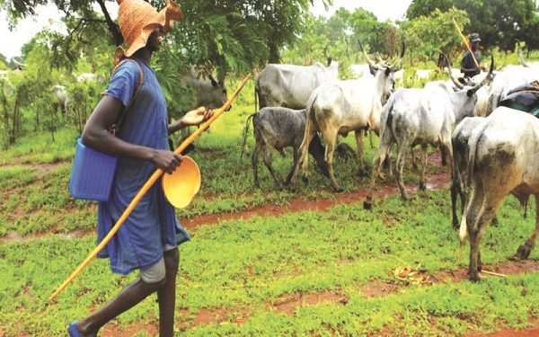 Open Grazing Old Fashion, Says Northern Governor