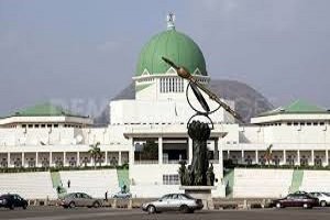 NASS Approves N11bn Capital Budget For Police Trust Fund
