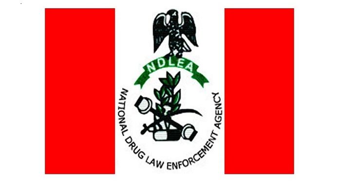 NDLEA Uncovers Cannabis Warehouse, Intercepts Truckload In Benue