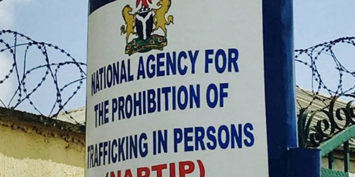 NAPTIP Seeks NAF’s Support To Check Human Trafficking