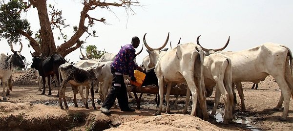 Maths Can End Farmers-Herdsmen Crisis, Says OAU Don