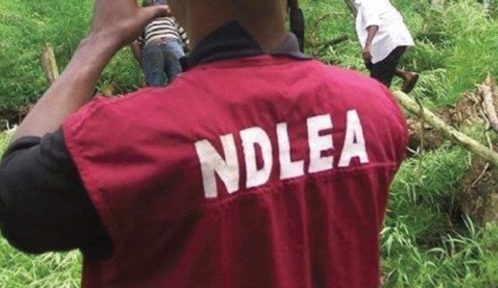 HURIWA Condemns Attacks On NDLEA Operatives By Notorious Baron, Drums Public Support For Agency