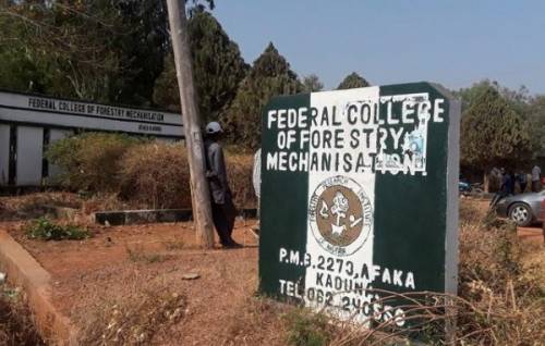JUST IN: Five more kidnapped Kaduna College students released