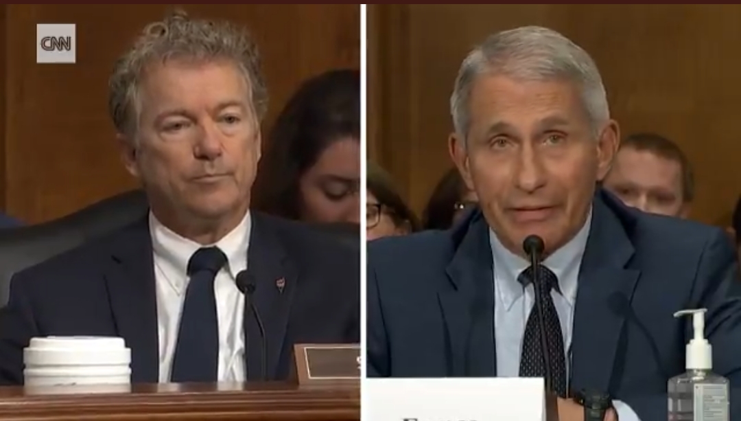 DEBATE ON ORIGIN OF COVID-19: Fauci And Rand Paul Have Terse Exchange: ‘You do not know what you are talking about’ – CNN