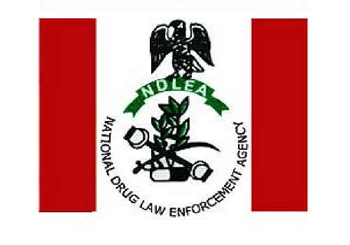 NDLEA Charges Man With Unlawful Sale Of 1.6kg Cannabis