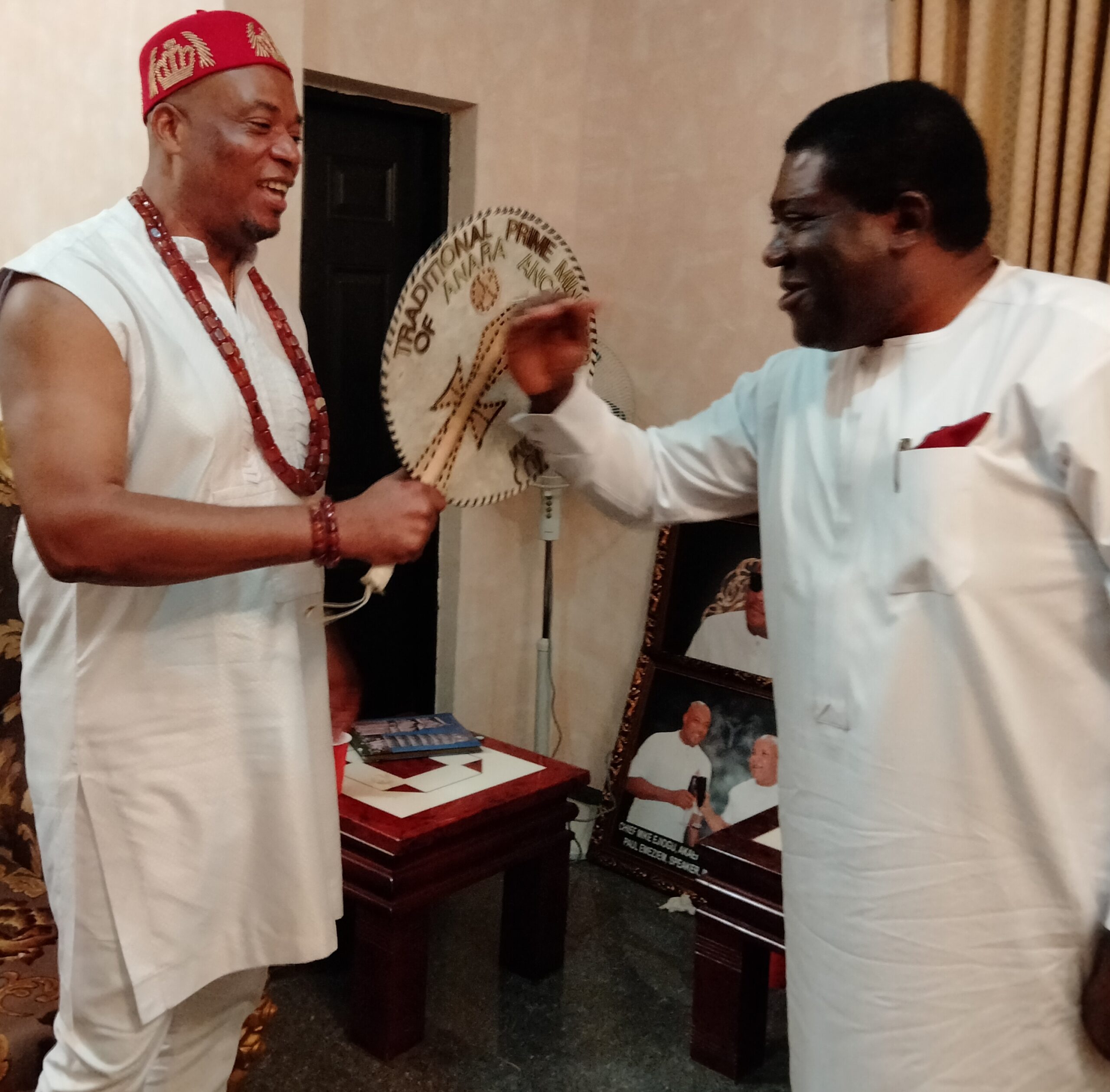 Ensure Igbo Culture, Value System Do Not Die, Madumere To Traditional Rulers