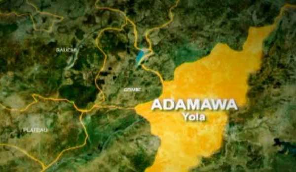 Adamawa Shifts Council poll To Dec 4