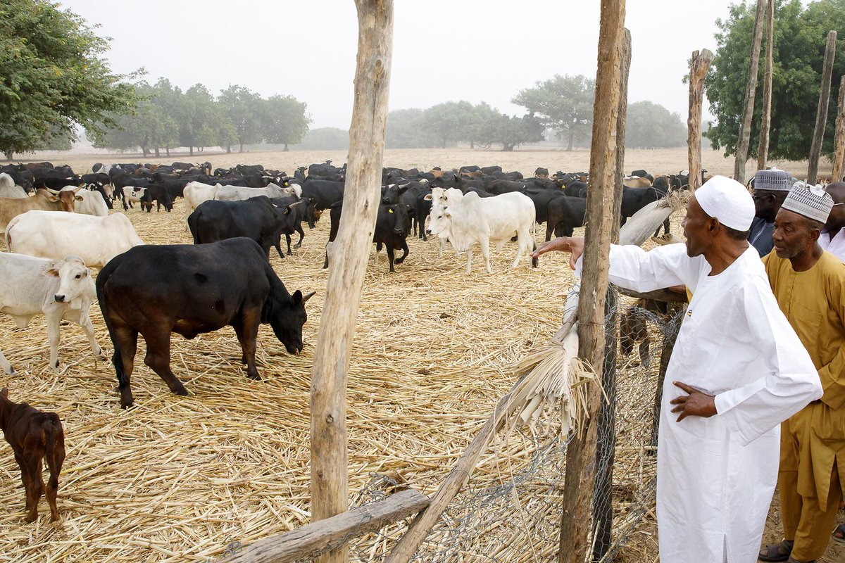 Nigeria’s Economy Booming Because People Went Back To Farm – Buhari