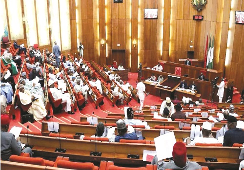 We Had To Bow To Public On E-Transmission Of Results – Senate