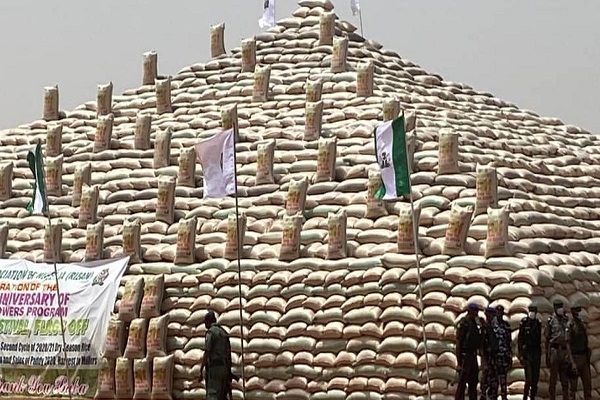 Buhari Will Unveil CBN, RIFAN Mega Rice Pyramids In Abuja Tuesday
