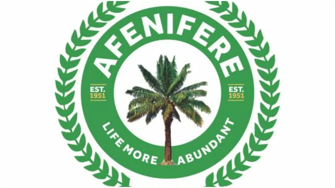 Afenifere Bitter Over Attack On Kaduna Airport, Says It May Lead To Afghanistan Situation