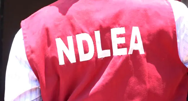 NDLEA Seizes 1,399kg Of Hard Drugs In Kaduna, Seals Shop, Four Houses