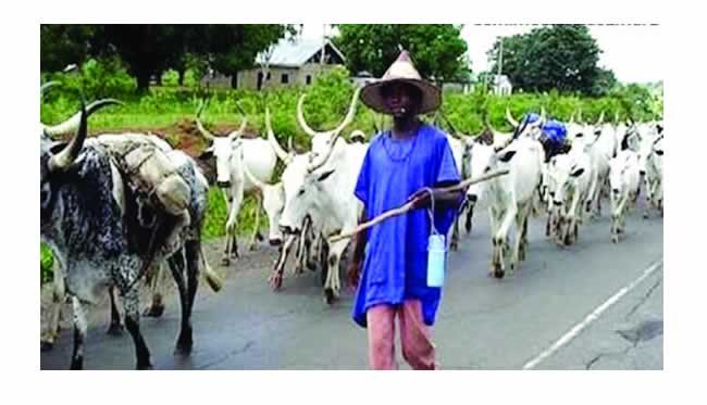 Miyetti Allah Claims Insecurity In South-East Not Targeted At Herders