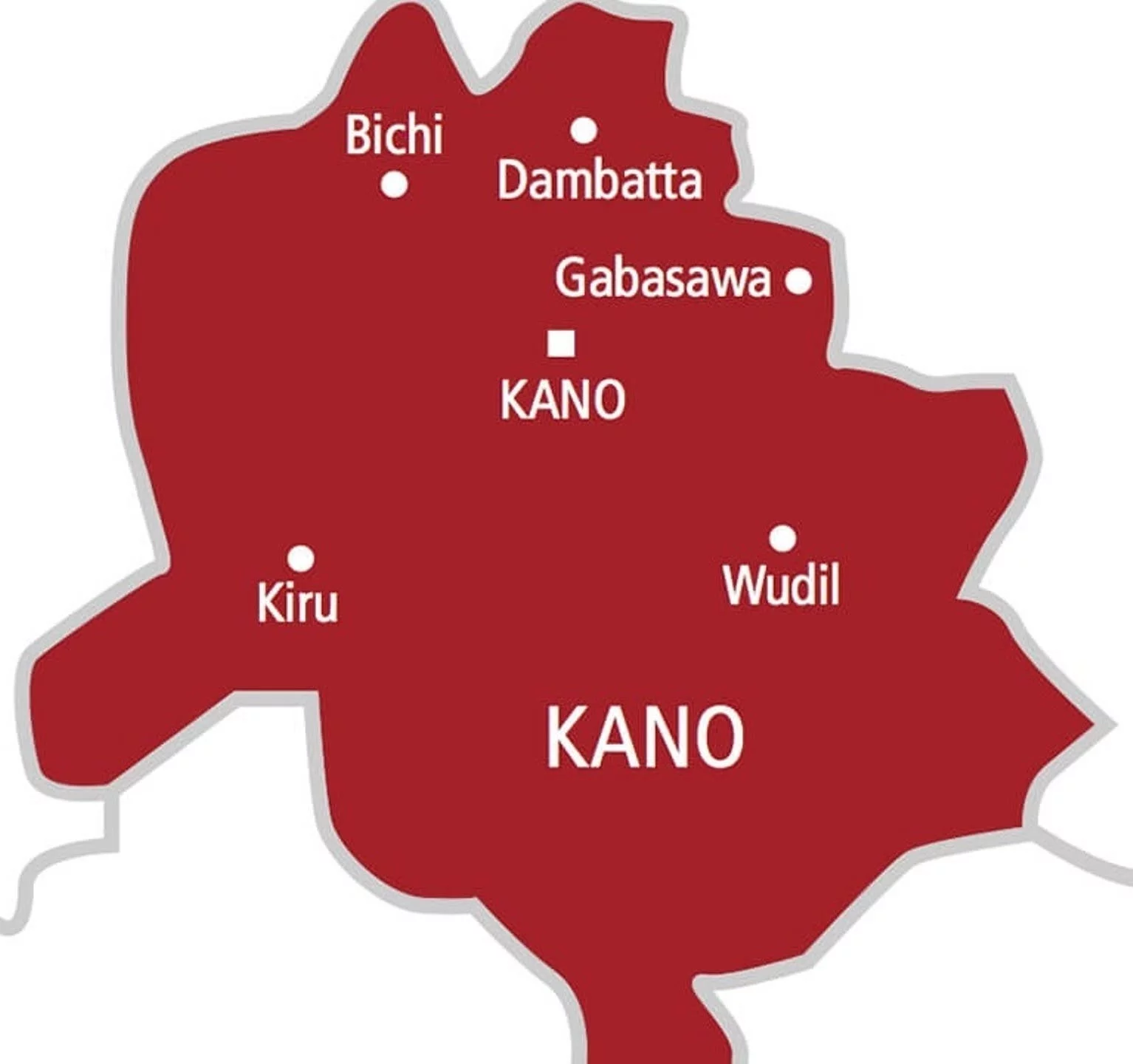 Bees Attack, Kill 13-year-Old Boy In Kano￼￼