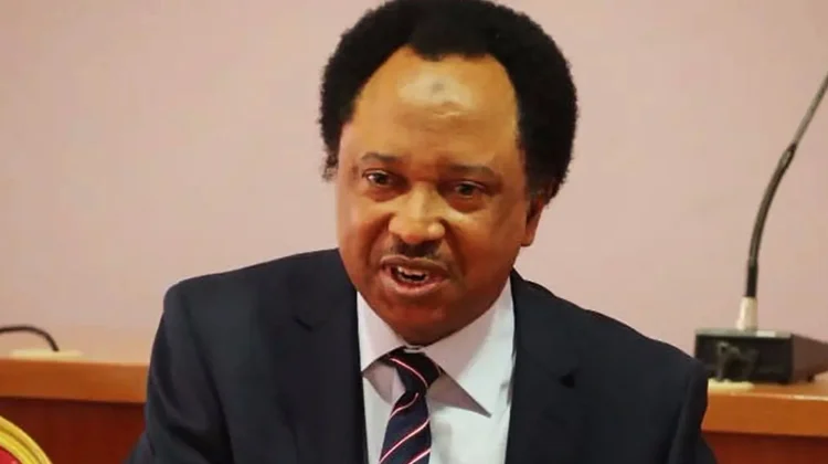 Owo Church Attack: Northerners Living In South Should Not Be Molested – Shehu Sani Says