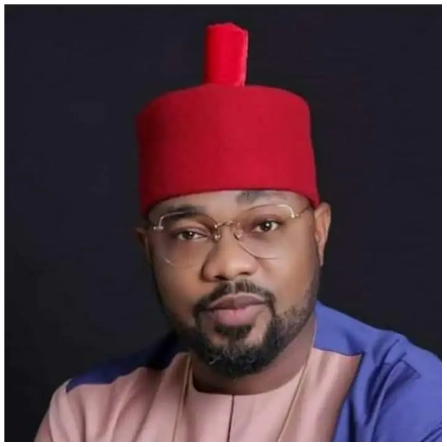 Election Tribunal Judgement On Ideato Constituency Contradicts Position Of The Law – Ikenga Ugochinyere