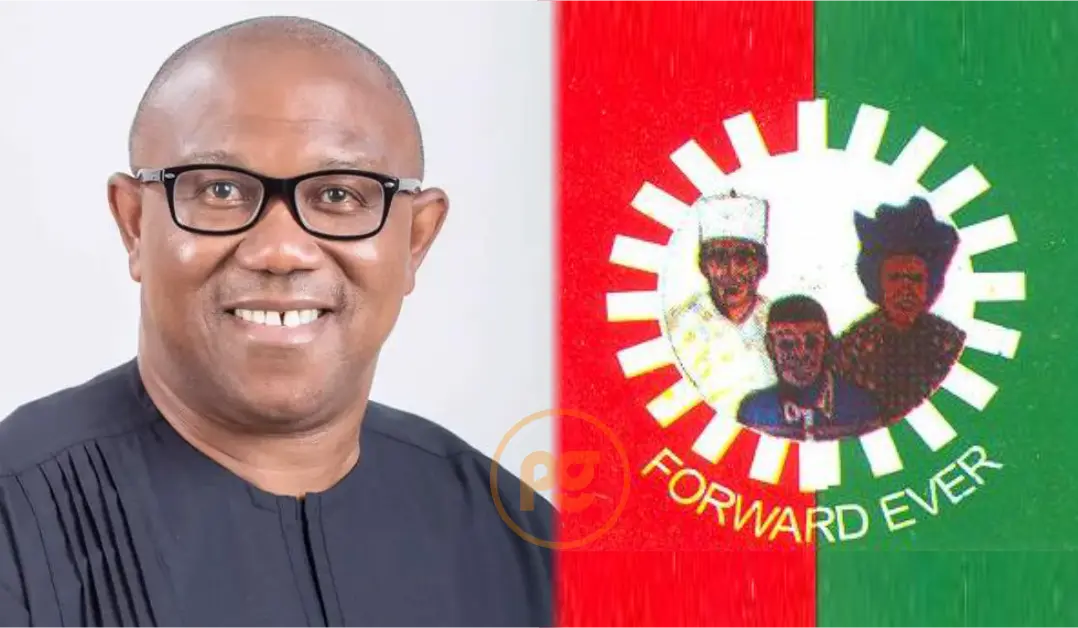 I Must Be Nigeria’s President, If Not Today, Tomorrow – Peter Obi 