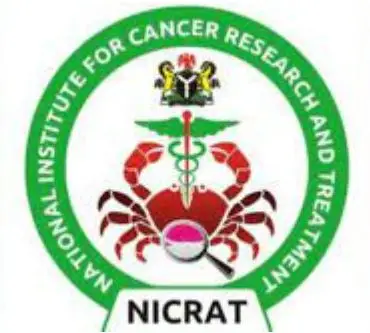 Killer Indomie Noodles: Expect Increase In Cancer Cases Among Children – NICRAT