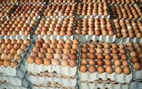 Scarcity Of Eggs, Chicken Imminent, Association Warns