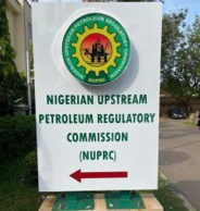 42 Bidders Win Gas Flare Commercialisation Licences — NUPRC