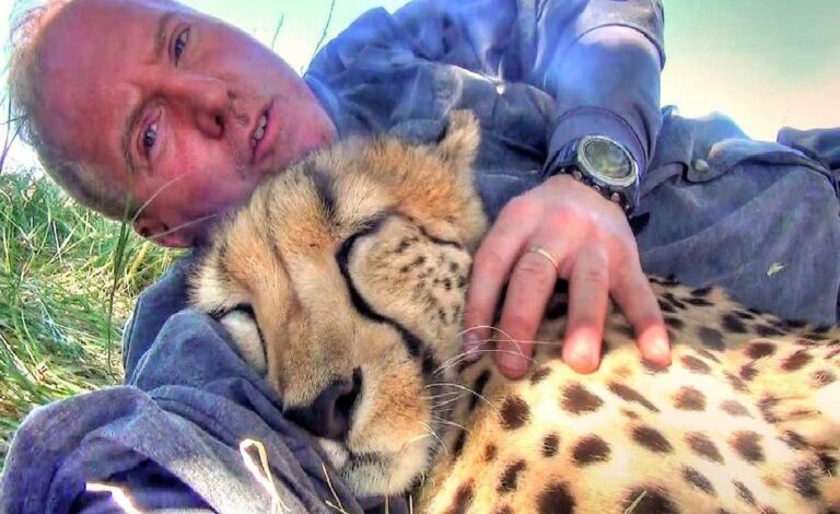 Wildlife Photographer Wakes Up From A Nap Under A Tree With… A Sleeping Cheetah Against Him