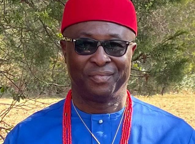 Heinous Crime of Kidnapping: A Threat to Healthcare And Humanity – President, Imo Diaspora Leadership